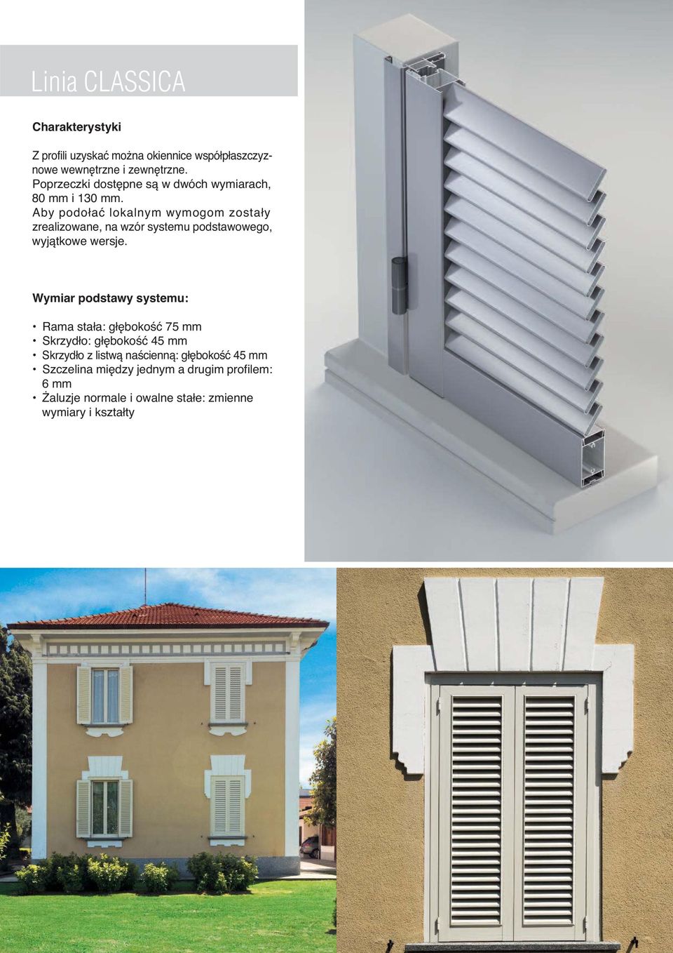 Aby podołać lokalnym wymogom zostały zrealizowane, na wzór systemu podstawowego, wyjątkowe wersje.