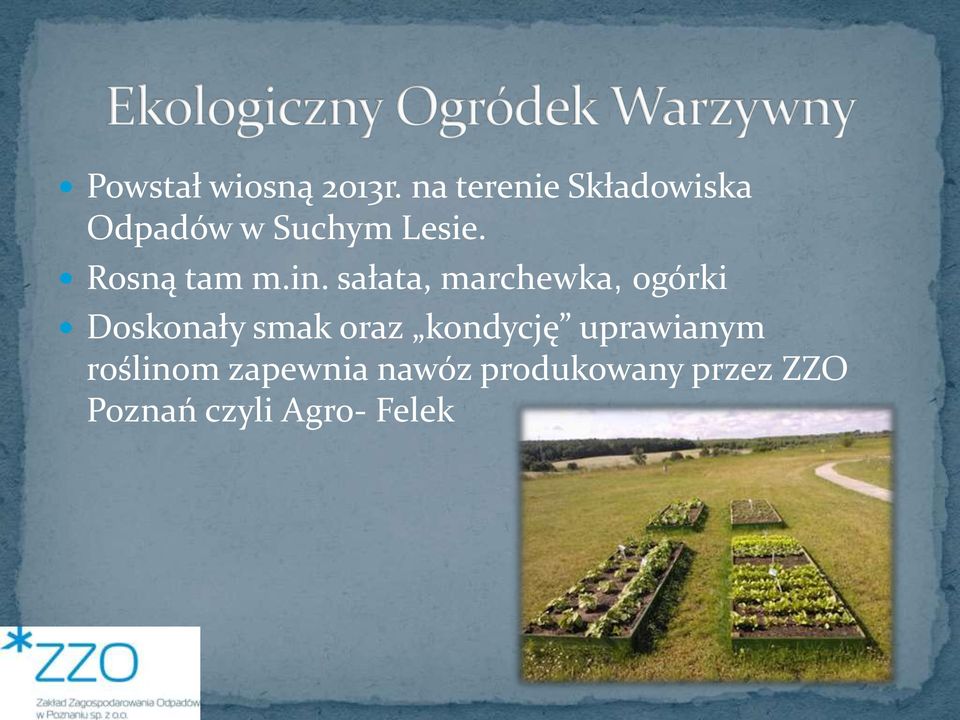 Rosną tam m.in.