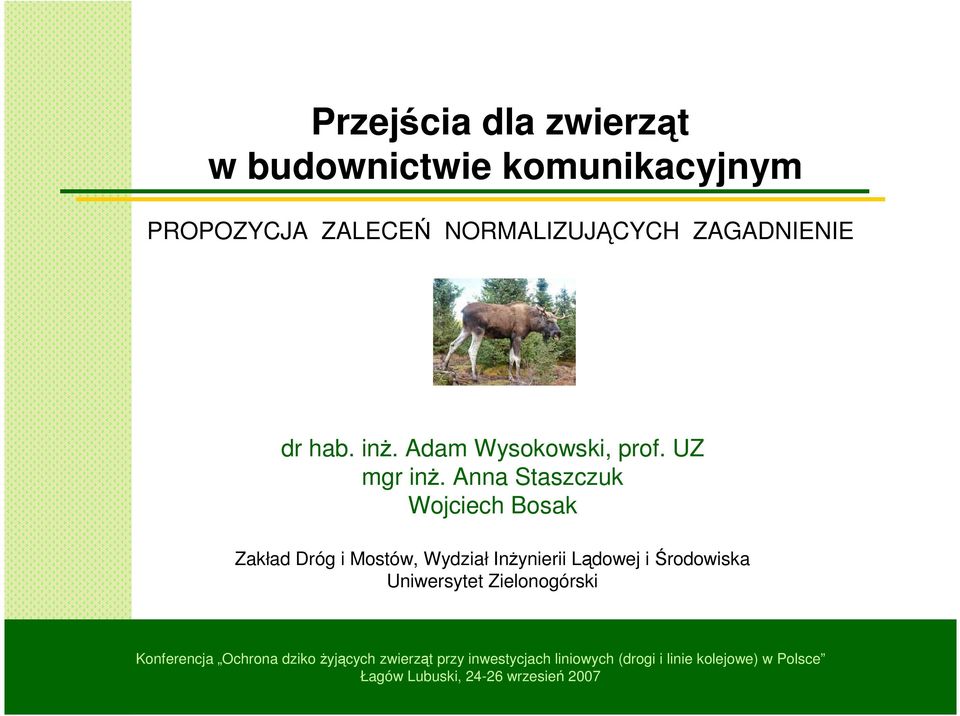 Anna Staszczuk Wojciech Bosak Zakład Dróg i Mostów, Wydział InŜynierii Lądowej i Środowiska