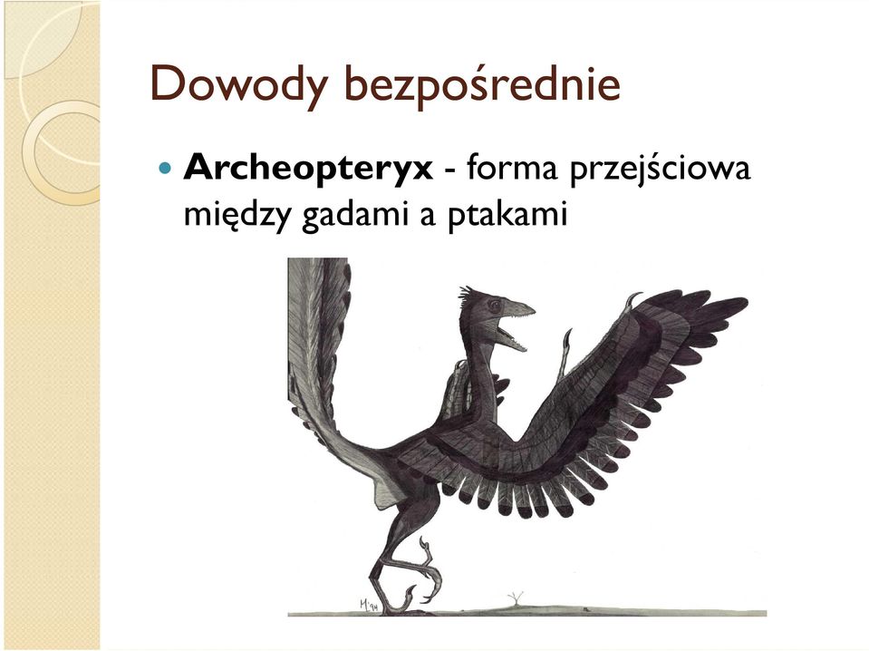 Archeopteryx -