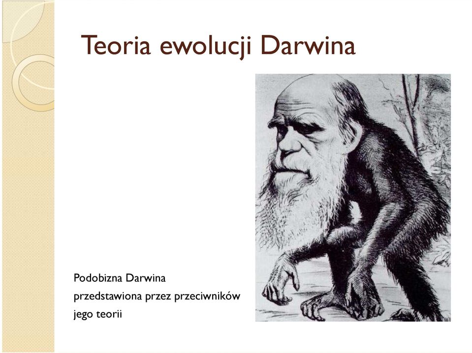 Darwina przedstawiona