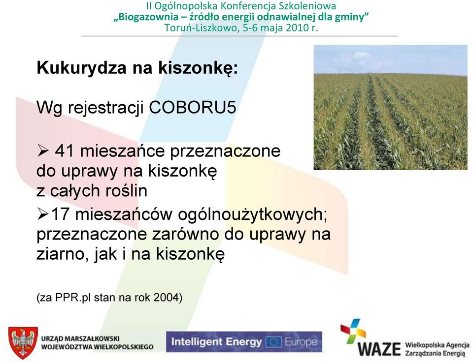 roślin 17 mieszańców ogólnoużytkowych; przeznaczone