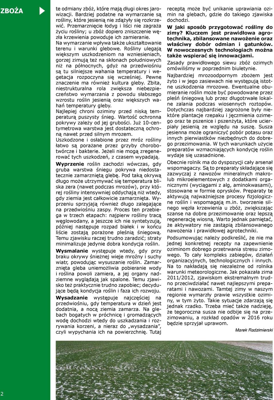 Rośliny ulegają większym uszkodzeniom na wzniesieniach, gorzej zimują też na skłonach południowych niż na północnych, gdyż na przedwiośniu są tu silniejsze wahania temperatury i wegetacja rozpoczyna