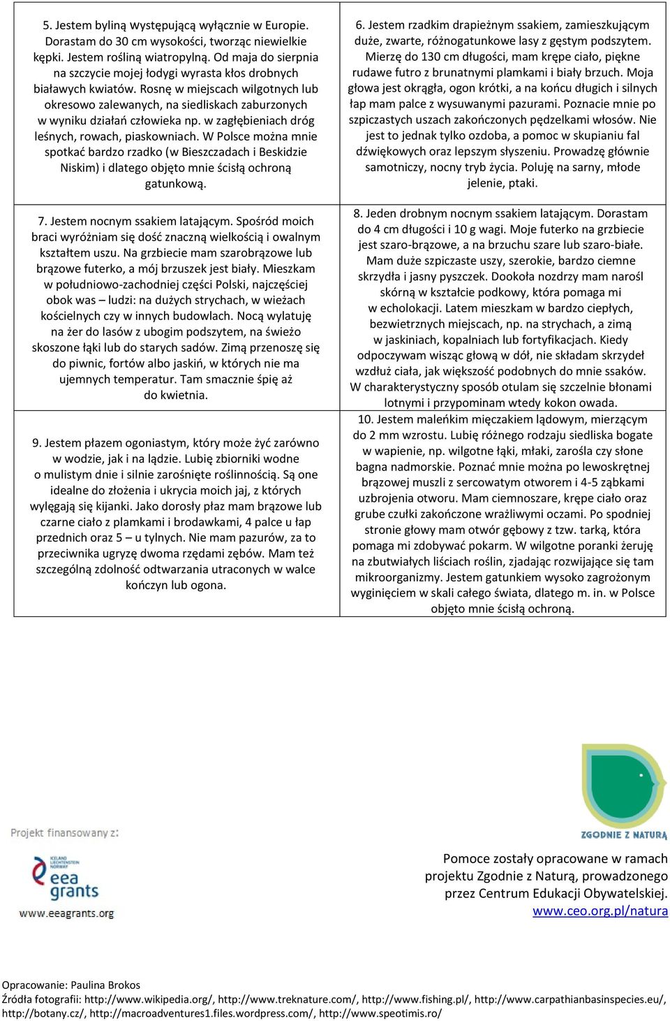 w zagłębieniach dróg leśnych, rowach, piaskowniach. W Polsce można mnie spotkać bardzo rzadko (w Bieszczadach i Beskidzie Niskim) i dlatego objęto mnie ścisłą ochroną gatunkową. 7.