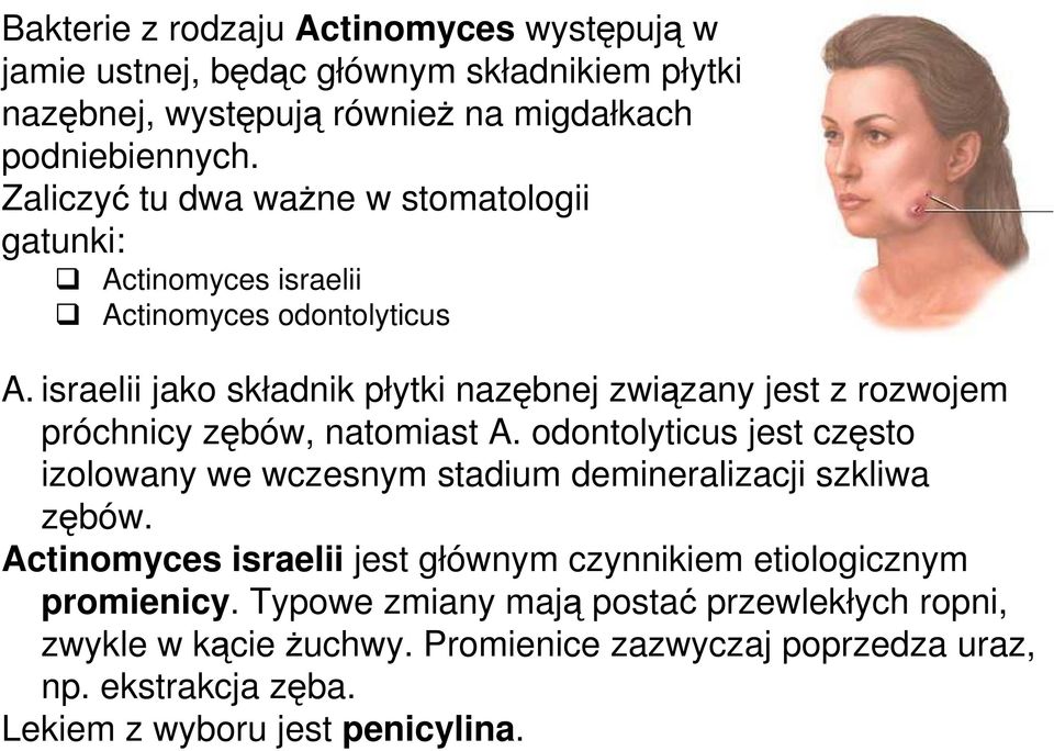 israelii jako składnik płytki nazębnej związany jest z rozwojem próchnicy zębów, natomiast A.