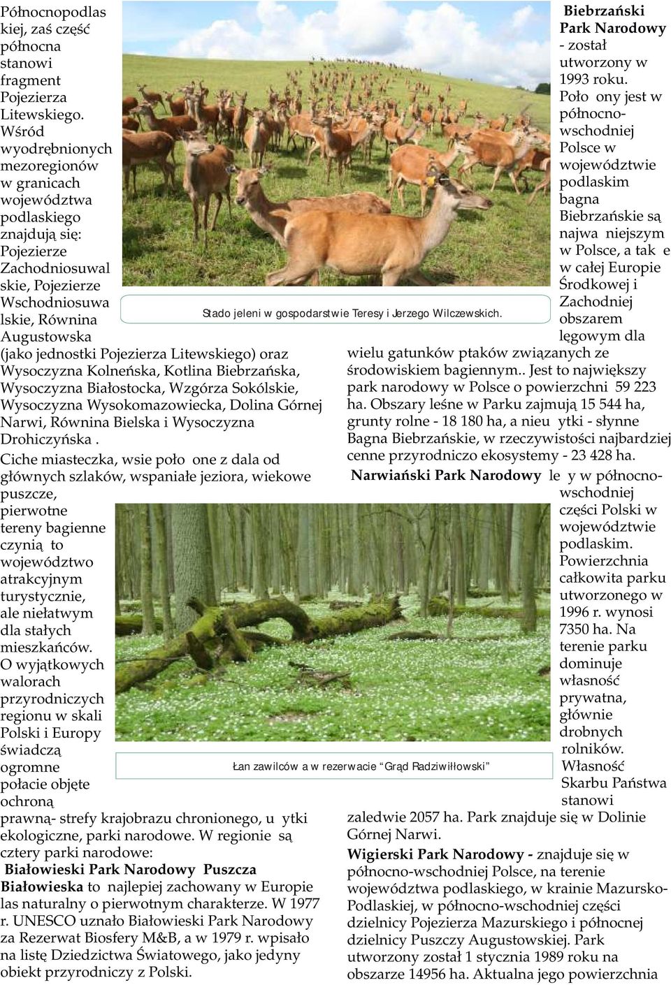 także Zachodniosuwal w całej Europie skie, Pojezierze Środkowej i Wschodniosuwa Zachodniej Stado jeleni w gospodarstwie Teresy i Jerzego Wilczewskich.