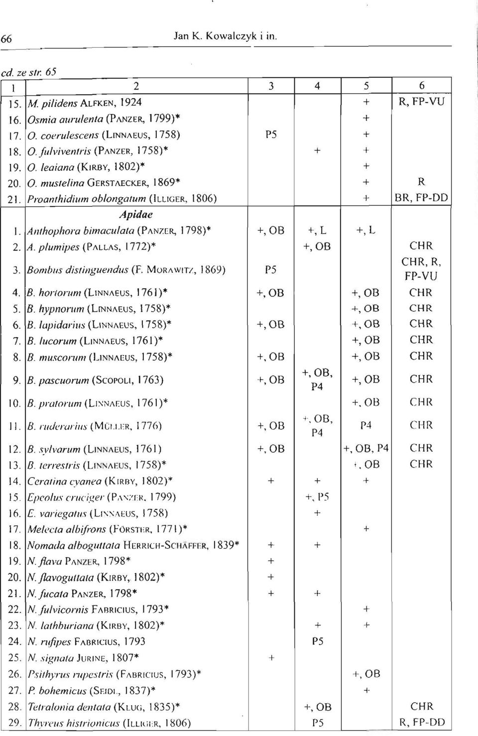 Anthophora bimeculata (PANZER, 1798)* +, OB +,L +, L 2. A. p/umipes (PALLAS, 1772)* +, OB CHR 3. Bomhus distinguendus (F. MORAWITZ, 1869) 1'5 CHR, R, FP-V U 4. B. hortorum (LINNAEUS, 1761)* +, OB +, OB CHR 5.
