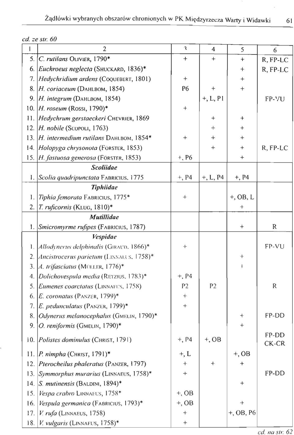 H roseum (ROSSI, 1790)* + II. Hedychrum gerstaeckeri CIIEVRIER, 1869 + + 12. H. nobile (SCOPOLI, 1763) + + 13. H intermedium rutilans DAlII.IlOM, 1854* + + + 14.