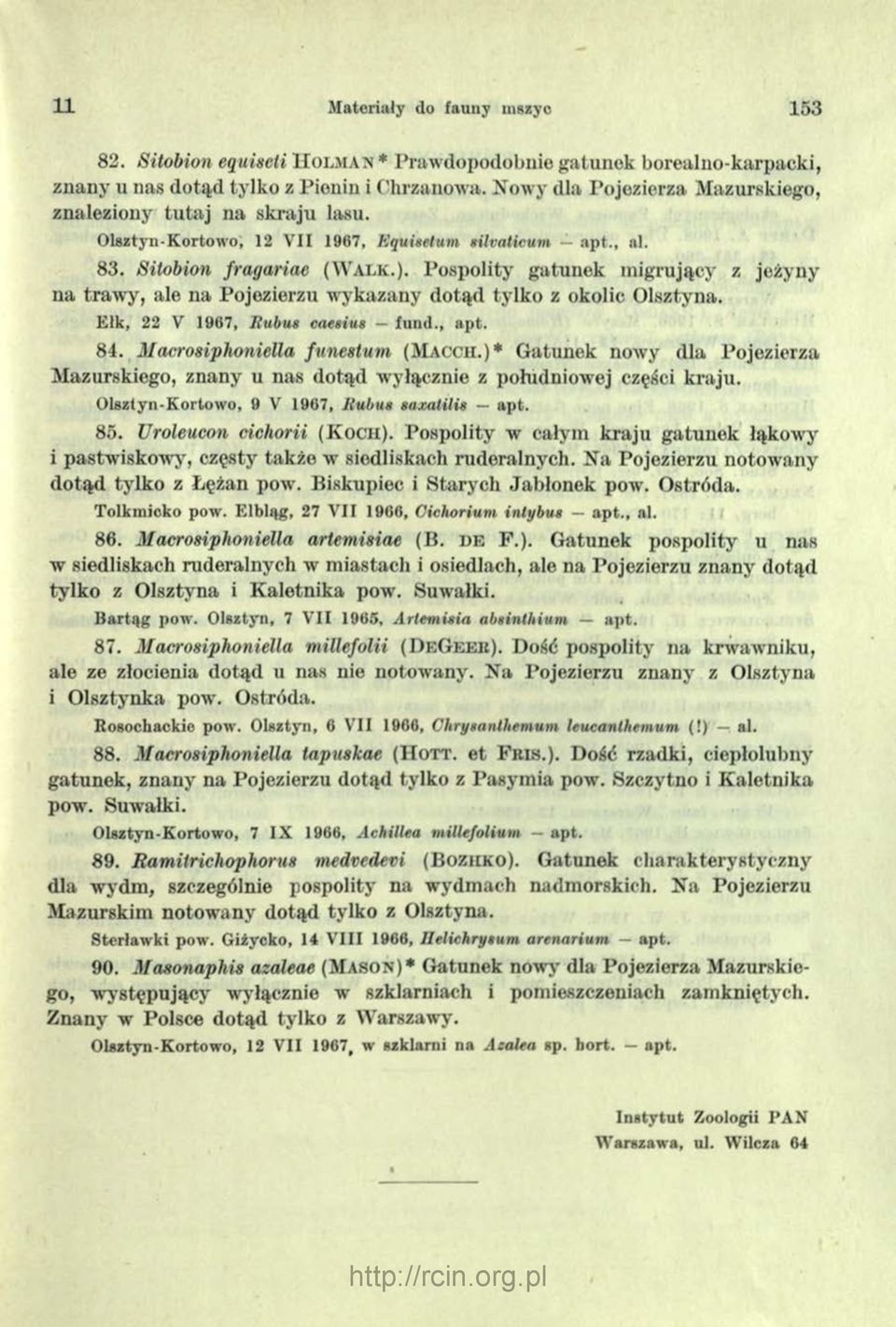Pospolity gatunek migrujący z jeżyny na trawy, ale na Pojezierzu wykazany dotąd tylko z okolic Olsztyna. E lk, 22 V 1967, R ubus caesius fu n d., ap t. 84. Macrosiphoniella funestum (Maccii.