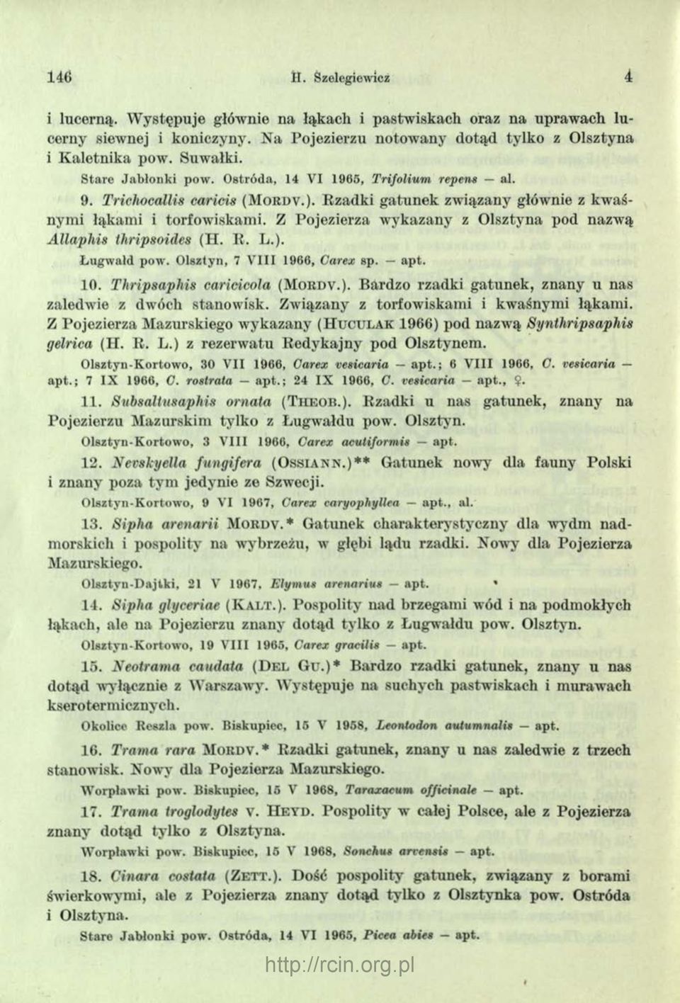 Z Pojezierza wykazany z Olsztyna pod nazwą Allaphis Ikripsoides (H. R. L.). Ł ugw ald pow. O lsztyn, 7 V III 1960, Carex sp. ap t. 10. Thripsaphis caricicoja (Mordv.). Bardzo rzadki gatunek, znany u nas zaledwie z dwóch stanowisk.