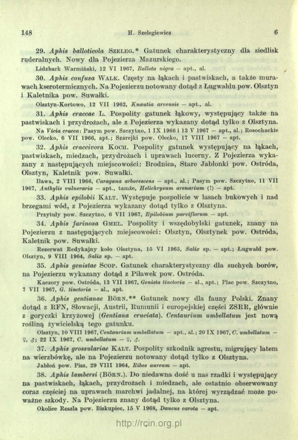 O lsztyn-k ortow o, 12 V II 1962, K n a u tia arrensis a p t., al. 31. Aphis craccae L.