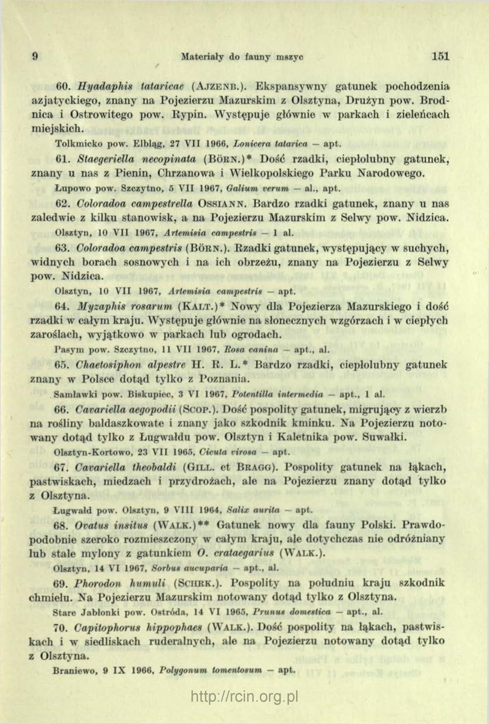 )* D ość rzadki, ciepłolubny gatunek, znany u nas z Pienin, Chrzanowa i Wielkopolskiego Parku Narodowego. Łupow o pow. Szczytno, 5 V II 1967, Oalium verurn al., a p t. 62.