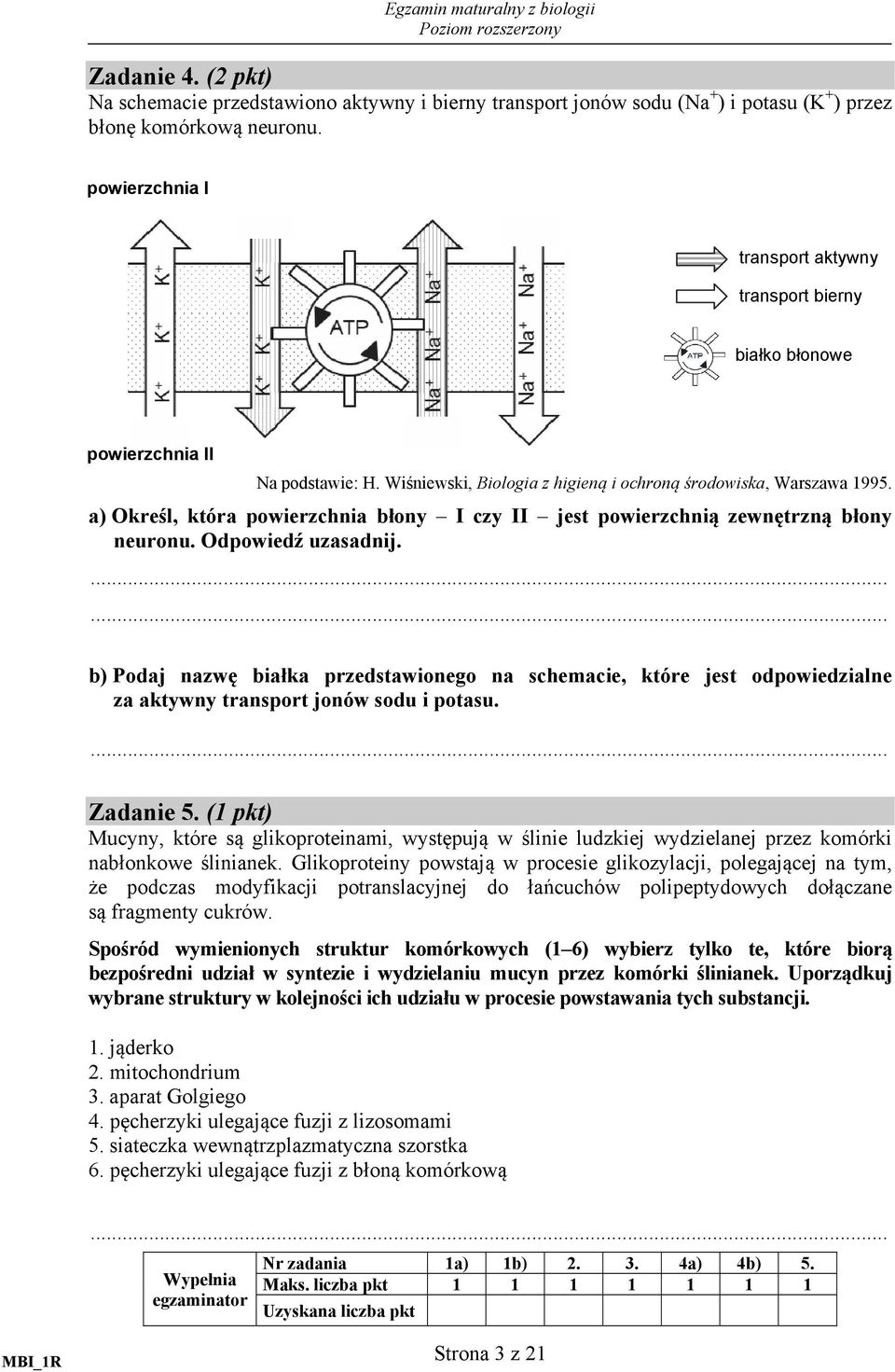 a) Określ, która powierzchnia błony I czy II jest powierzchnią zewnętrzną błony neuronu. Odpowiedź uzasadnij.