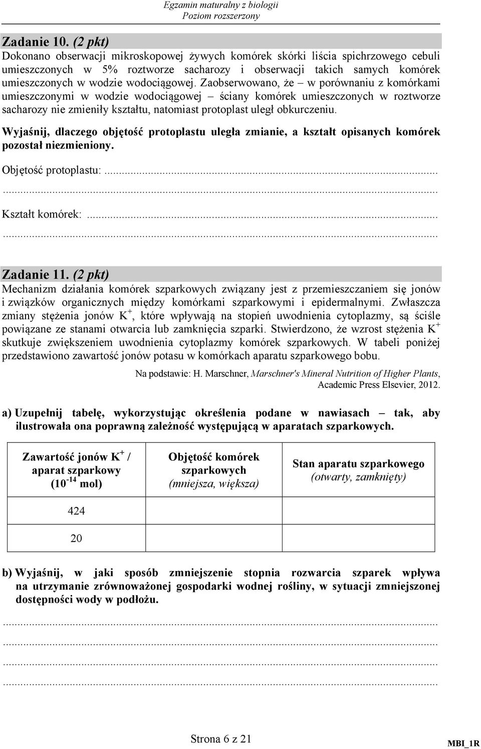 wodociągowej.