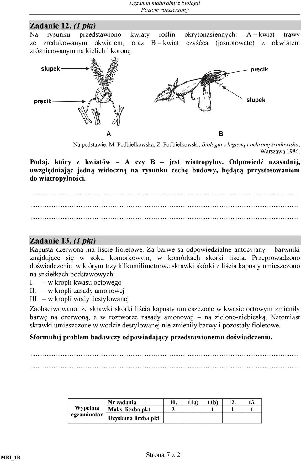 Odpowiedź uzasadnij, uwzględniając jedną widoczną na rysunku cechę budowy, będącą przystosowaniem do wiatropylności. Zadanie 13. (1 pkt) Kapusta czerwona ma liście fioletowe.