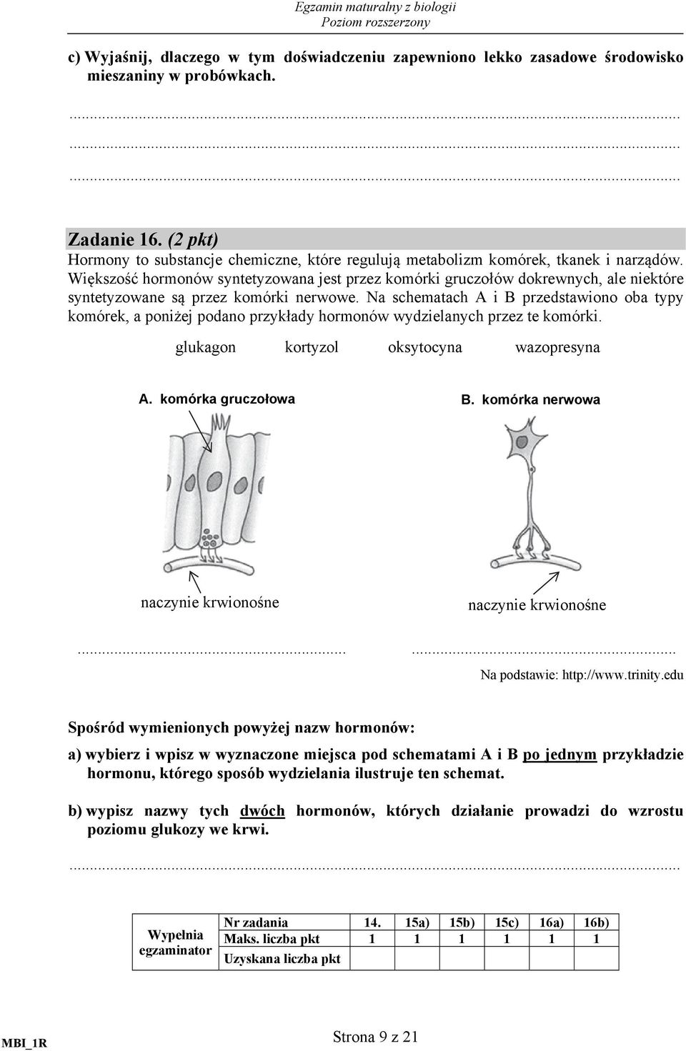 Większość hormonów syntetyzowana jest przez komórki gruczołów dokrewnych, ale niektóre syntetyzowane są przez komórki nerwowe.