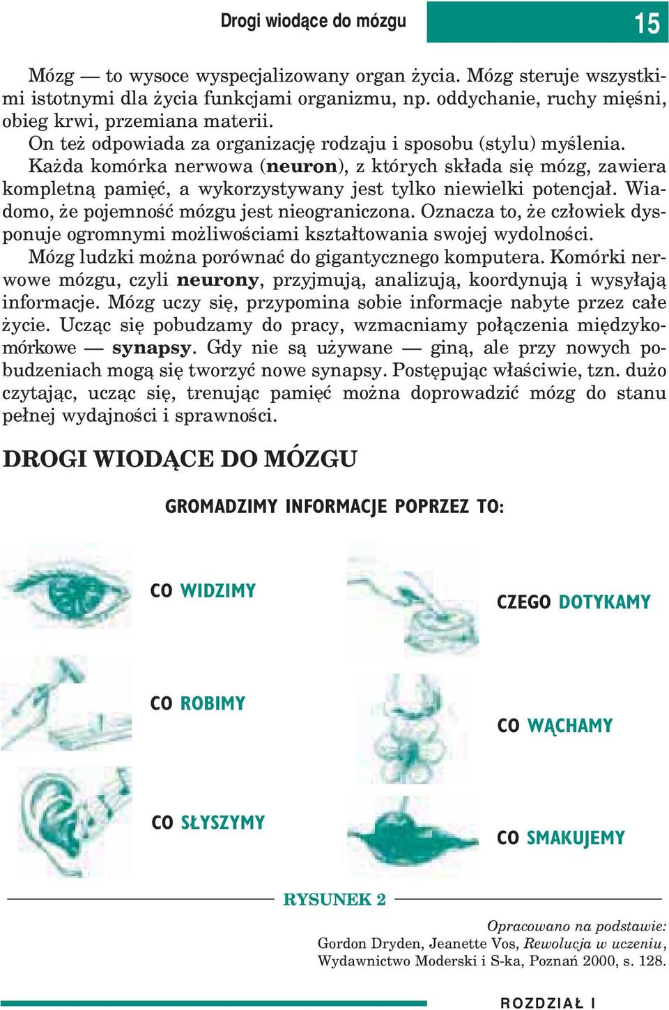Wiadomo, e pojemnoœæ mózgu jest nieograniczona. Oznacza to, e cz³owiek dysponuje ogromnymi mo liwoœciami kszta³towania swojej wydolnoœci. Mózg ludzki mo na porównaæ do gigantycznego komputera.