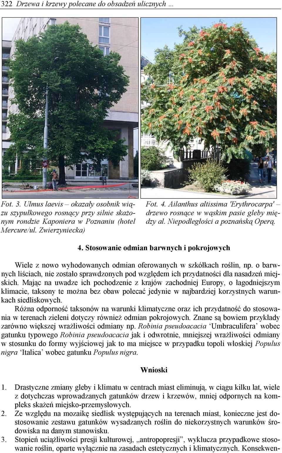 o barwnych liściach, nie zostało sprawdzonych pod względem ich przydatności dla nasadzeń miejskich.