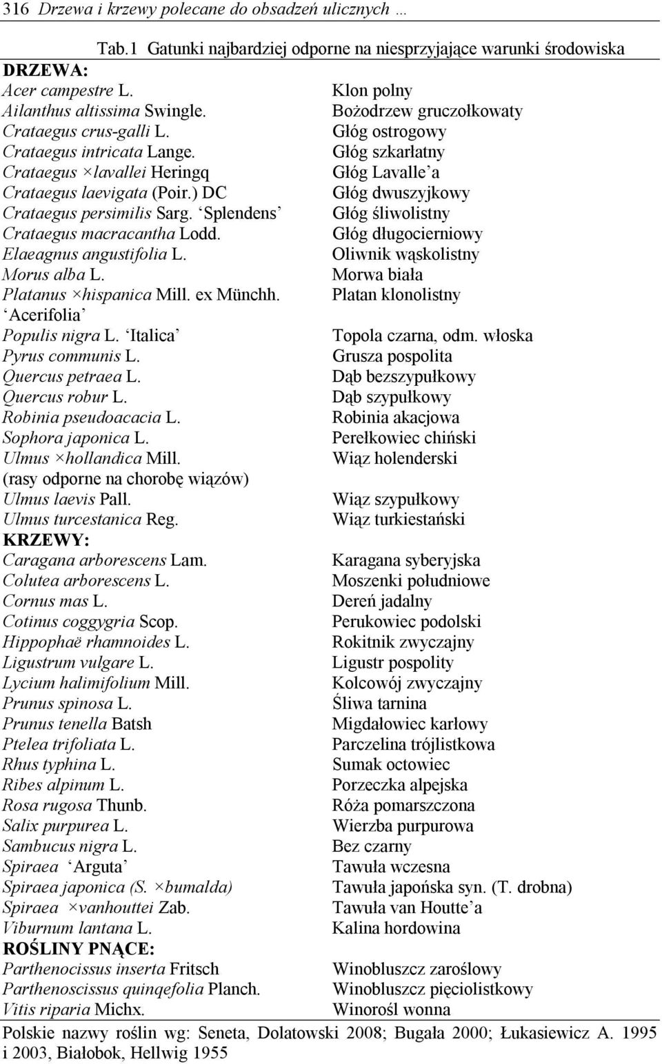) DC Głóg dwuszyjkowy Crataegus persimilis Sarg. Splendens Głóg śliwolistny Crataegus macracantha Lodd. Głóg długocierniowy Elaeagnus angustifolia L. Oliwnik wąskolistny Morus alba L.