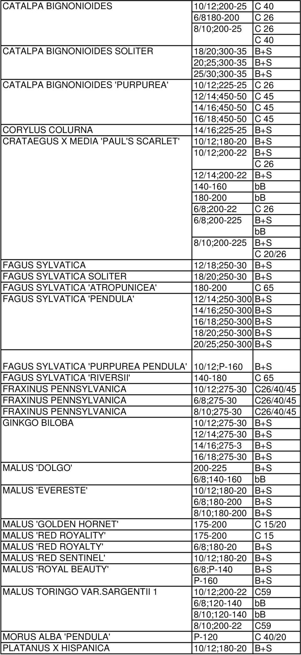 6/8;200-22 6/8;200-225 B+S bb 8/10;200-225 B+S C 20/26 FAGUS SYLVATICA 12/18;250-30 B+S FAGUS SYLVATICA SOLITER 18/20;250-30 B+S FAGUS SYLVATICA 'ATROPUNICEA' 180-200 C 65 FAGUS SYLVATICA 'PENDULA'