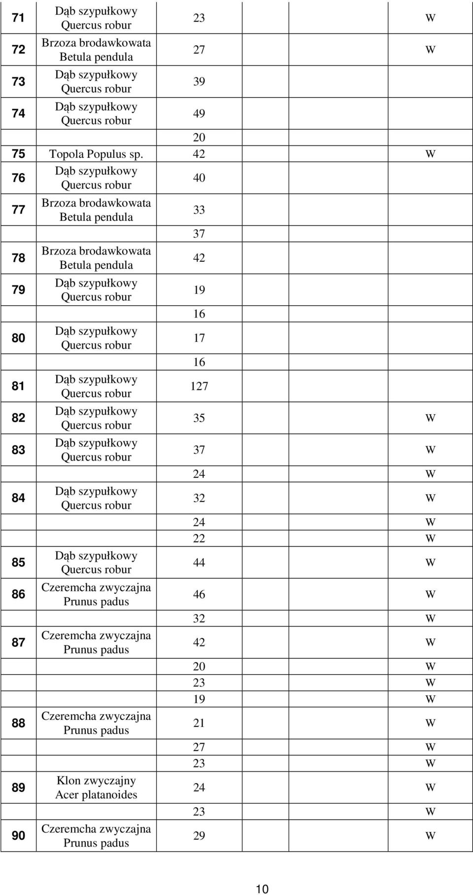 89 90 Klon zwyczajny Acer platanoides 33 37 42