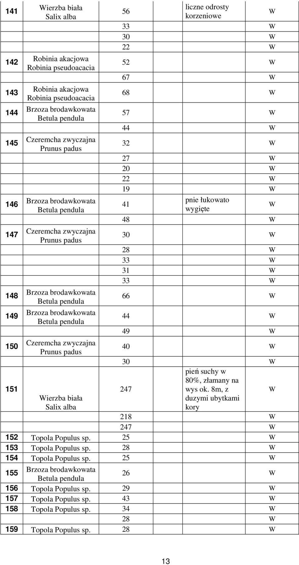 247 pień suchy w 80%, złamany na wys ok. 8m, z W Wierzba biała Salix alba duzymi ubytkami kory 2 247 W 152 Topola Populus sp.