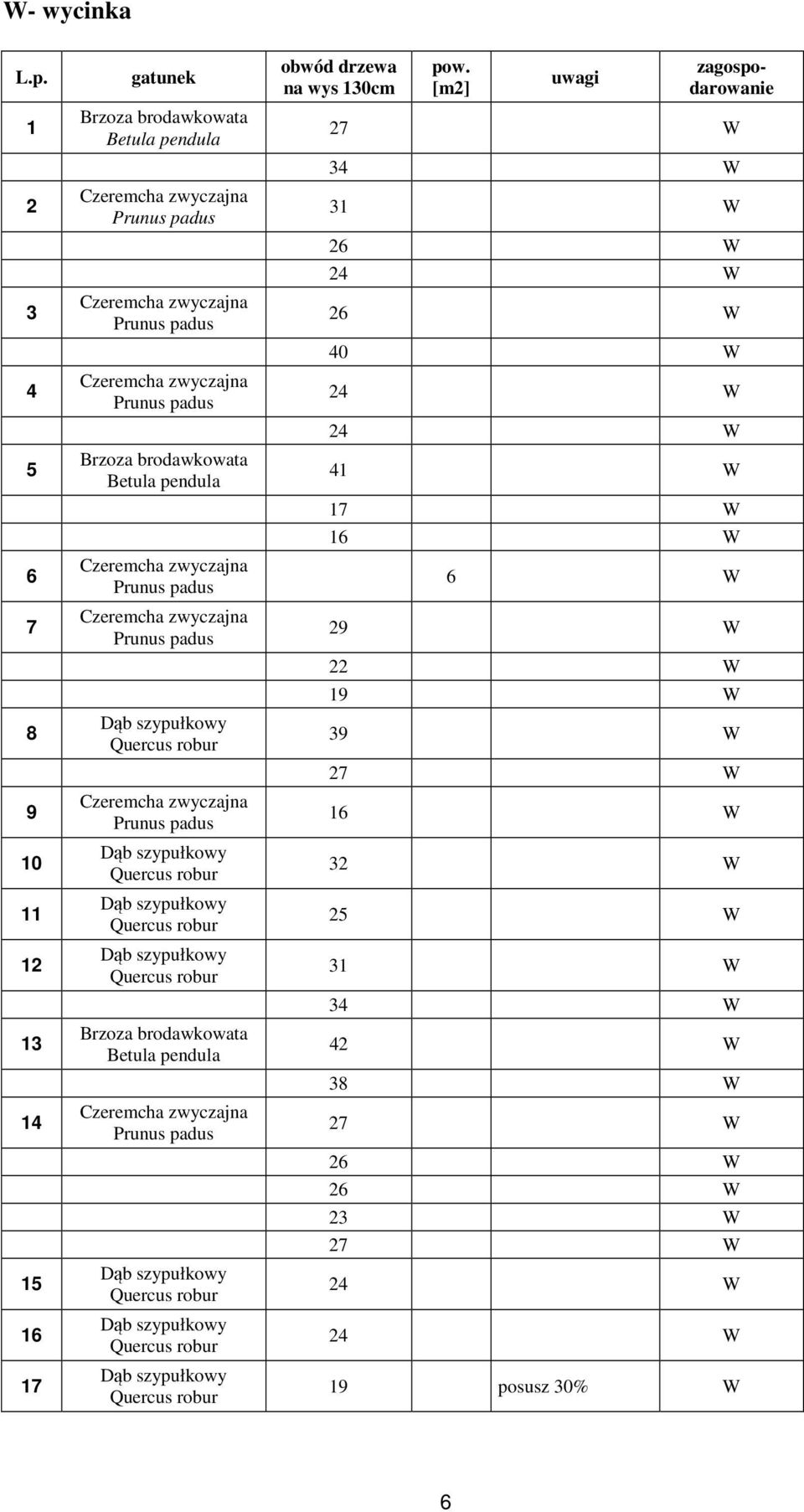 gatunek obwód drzewa na wys 130cm pow.