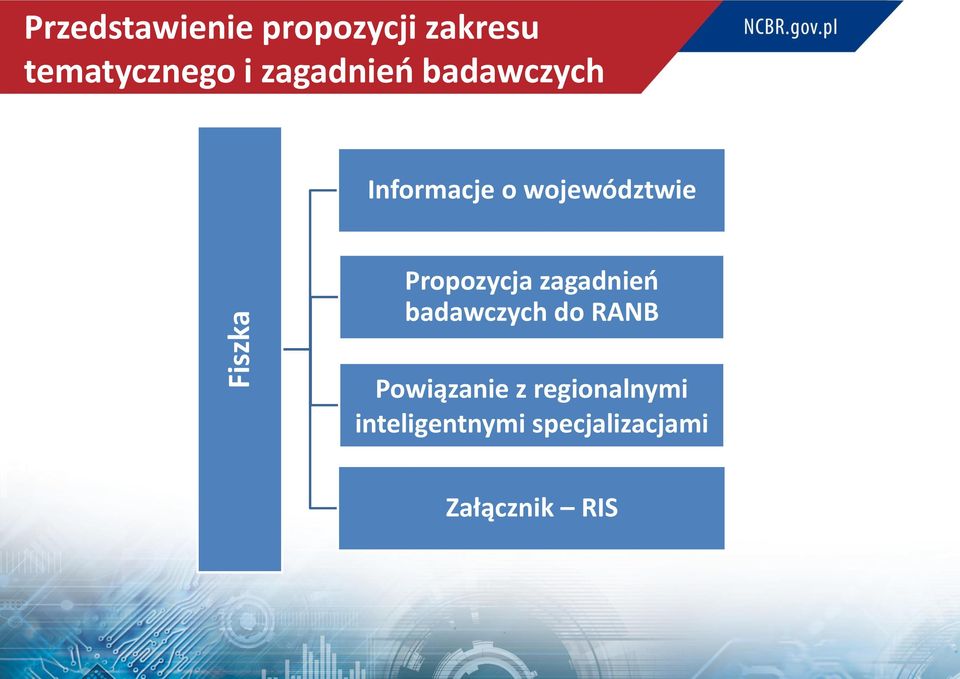 Propozycja zagadnień badawczych do RANB Powiązanie z