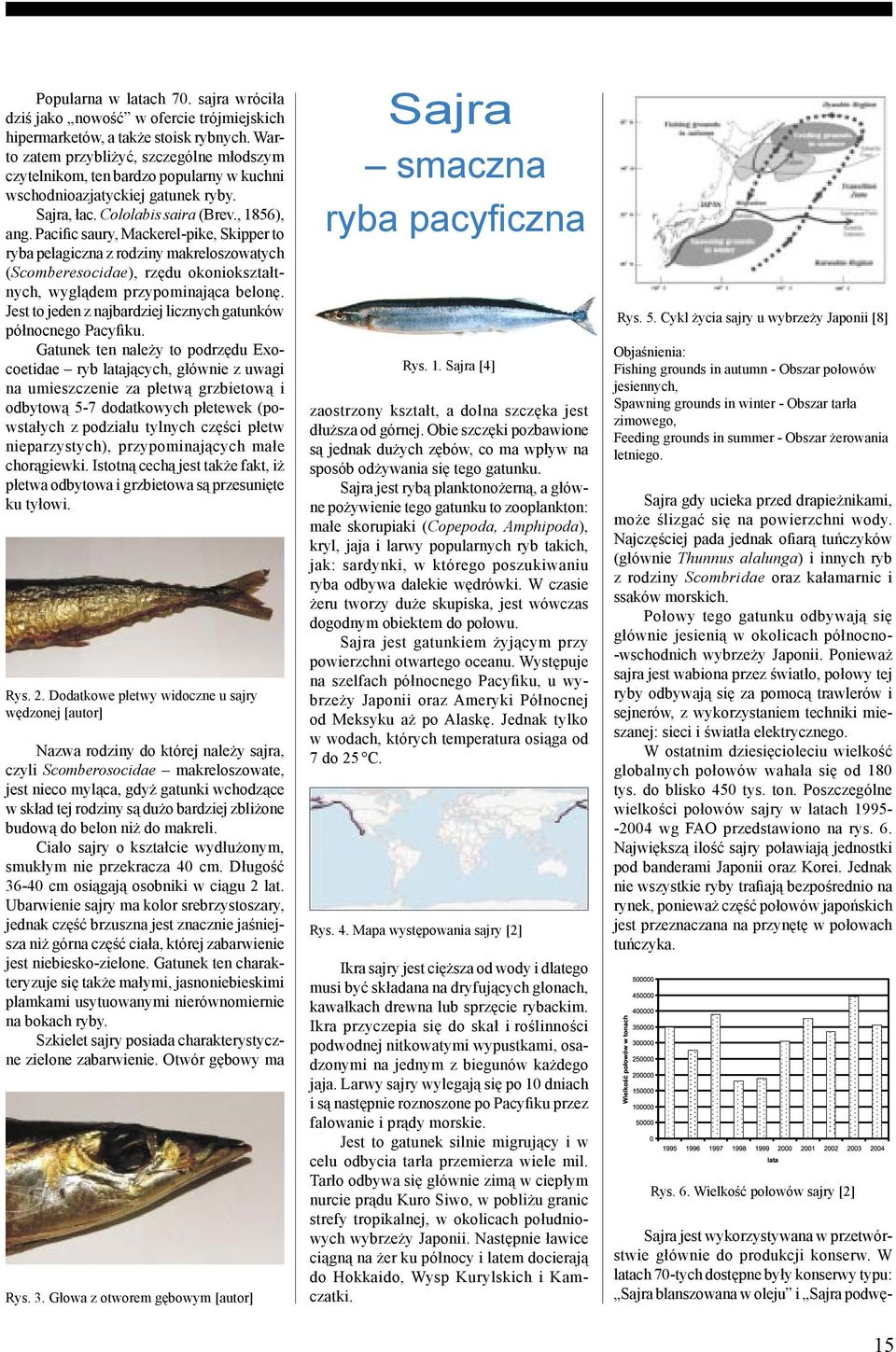 Pacific saury, Mackerel-pike, Skipper to ryba pelagiczna z rodziny makreloszowatych (Scomberesocidae), rzędu okoniokształtnych, wyglądem przypominająca belonę.