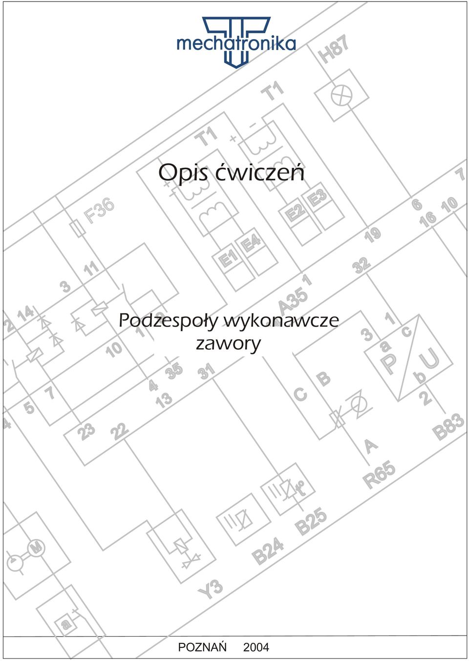 wykonawcze