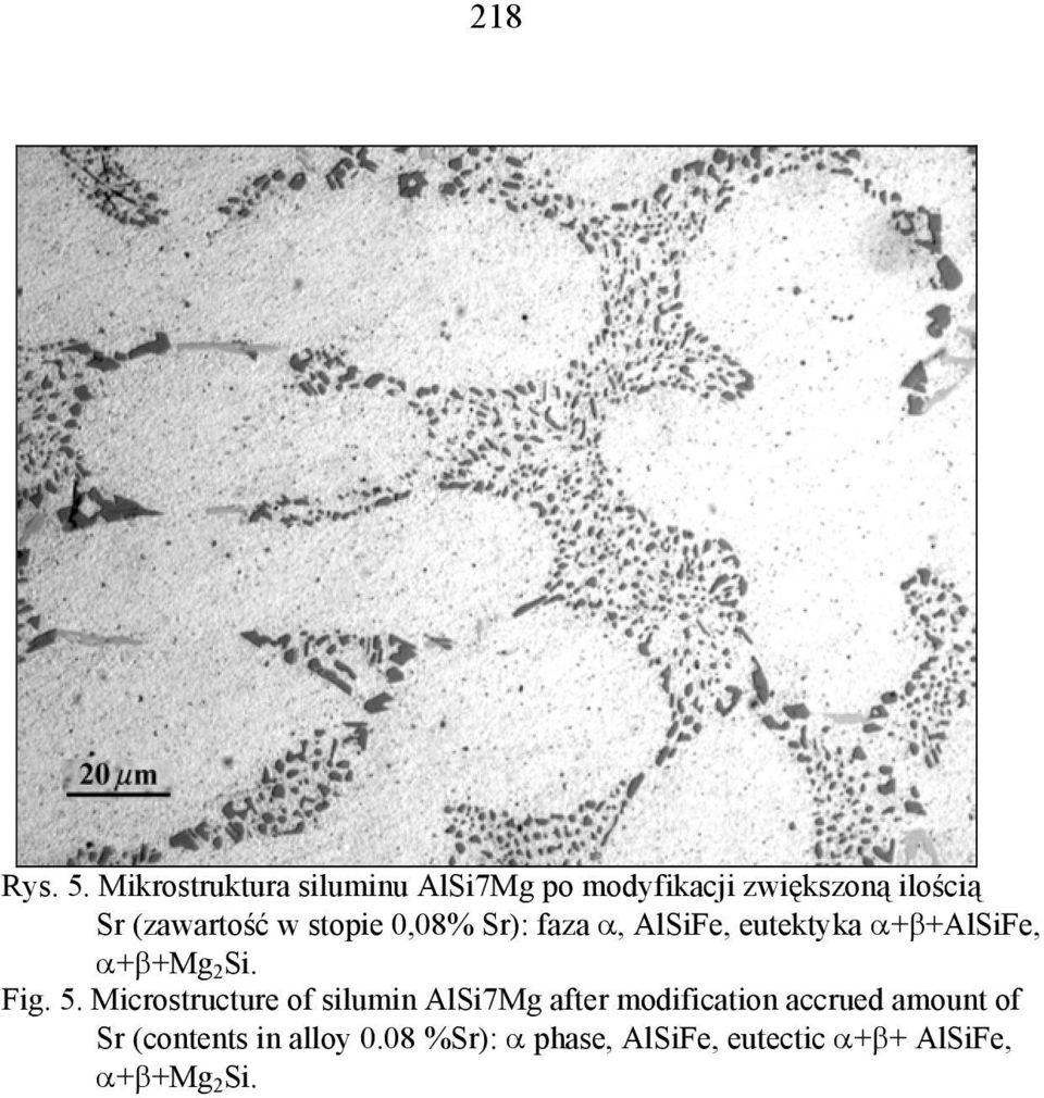 stopie 0,08% Sr): faza α, AlSiFe, eutektyka α+β+alsife, α+β+mg 2 Si. Fig. 5.