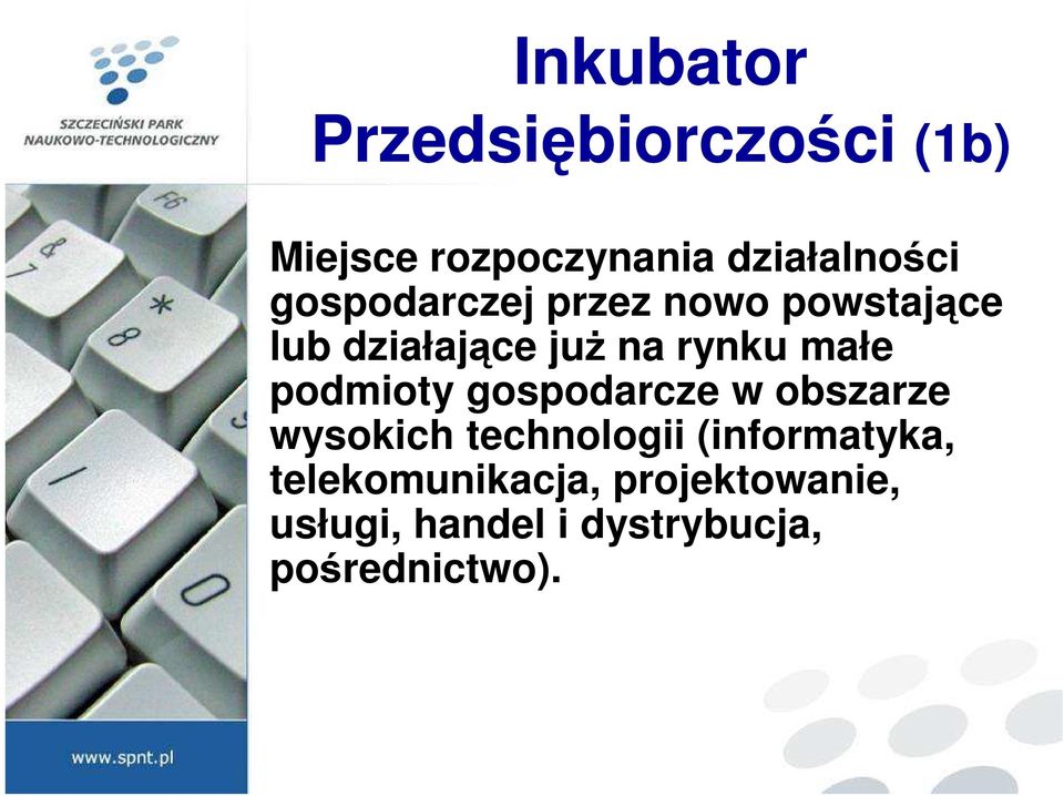 podmioty gospodarcze w obszarze wysokich technologii (informatyka,