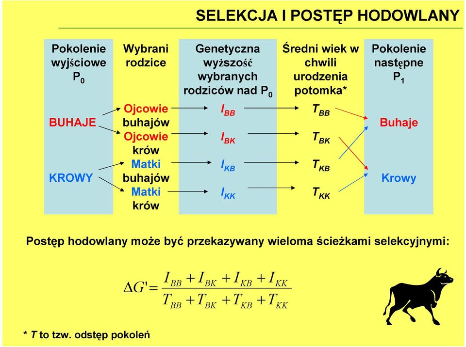 krów Matki buhajów Matki krów I BB I BK I KB I KK T BB T BK T KB T KK Buhaje Krowy Postęp hodowlany może być