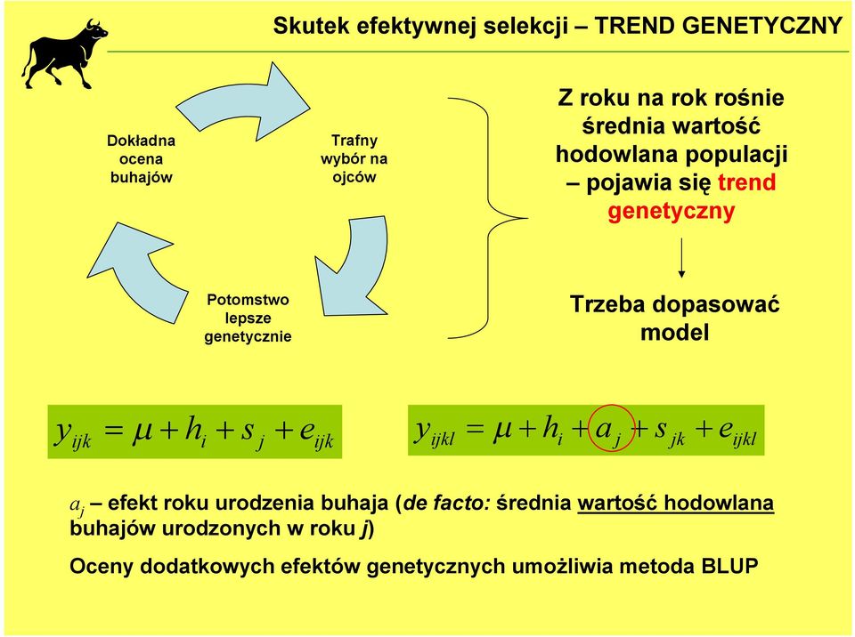 dopasować model y ijk h i s j e ijk y ijkl h i a j s jk e ijkl a j efekt roku urodzenia buhaja (de facto: