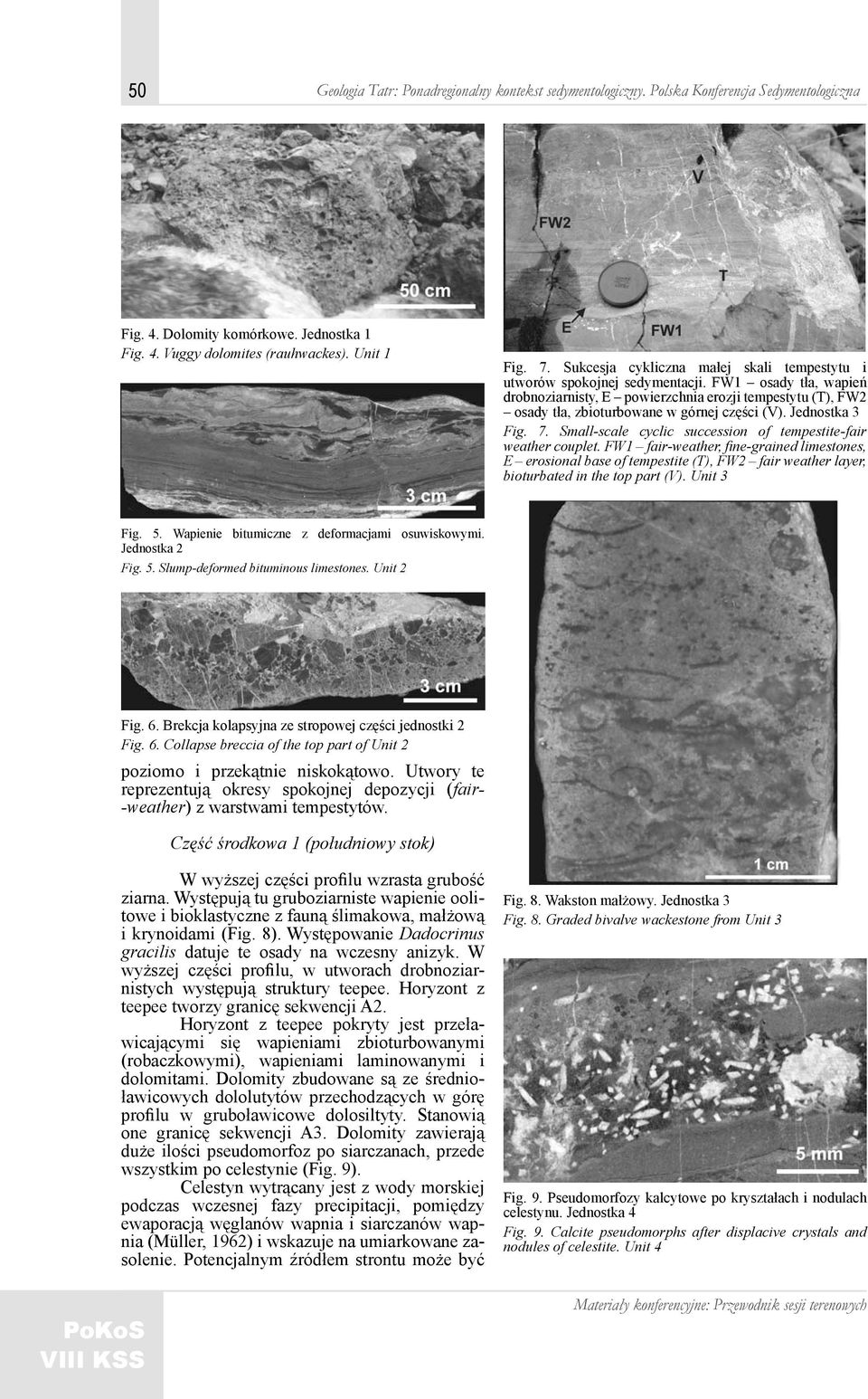 FW1 osady tła, wapień drobnoziarnisty, E powierzchnia erozji tempestytu (T), FW2 osady tła, zbioturbowane w górnej części (V). Jednostka 3 Fig. 7.