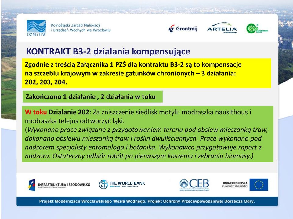 Zakooczono 1 działanie, 2 działania w toku W toku Działanie 202: Za zniszczenie siedlisk motyli: modraszka nausithous i modraszka telejus odtworzyd łąki.