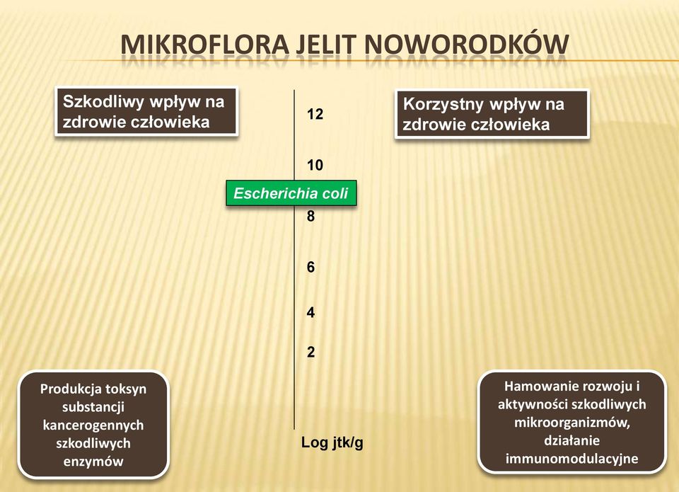 toksyn substancji kancerogennych szkodliwych enzymów 2 Log jtk/g