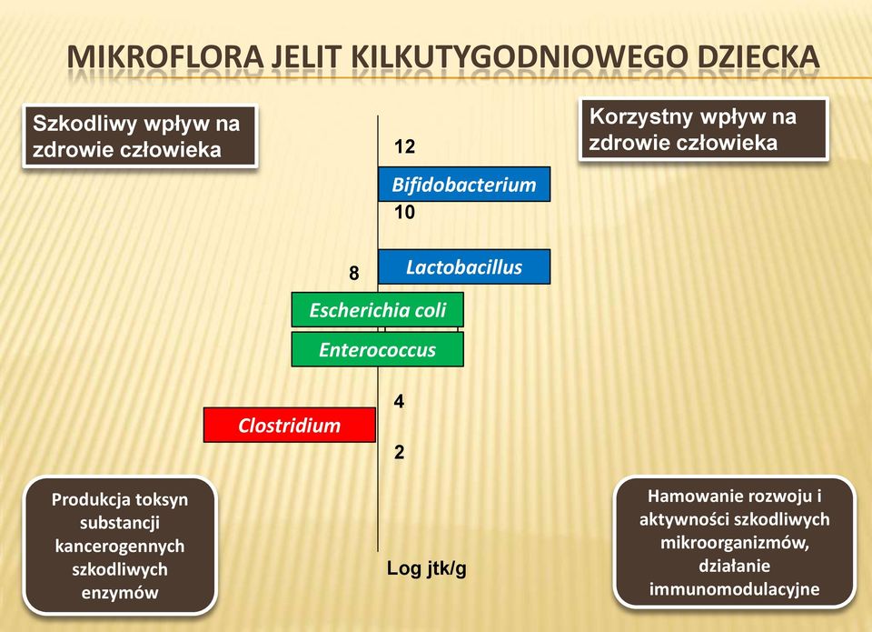 człowieka Clostridium 4 2 Produkcja toksyn substancji kancerogennych szkodliwych enzymów