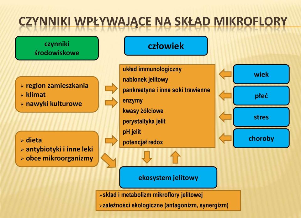 pankreatyna i inne soki trawienne enzymy kwasy żółciowe perystaltyka jelit ph jelit potencjał redox wiek