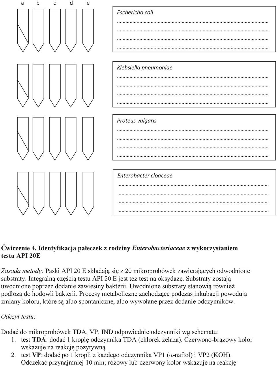 Integralną częścią testu API 20 E jest też test na oksydazę. Substraty zostają uwodnione poprzez dodanie zawiesiny bakterii. Uwodnione substraty stanowią również podłoża do hodowli bakterii.