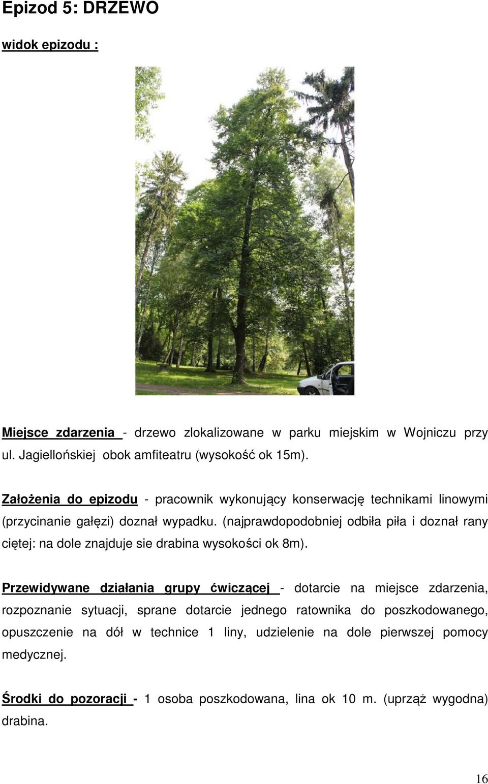 (najprawdopodobniej odbiła piła i doznał rany ciętej: na dole znajduje sie drabina wysokości ok 8m).