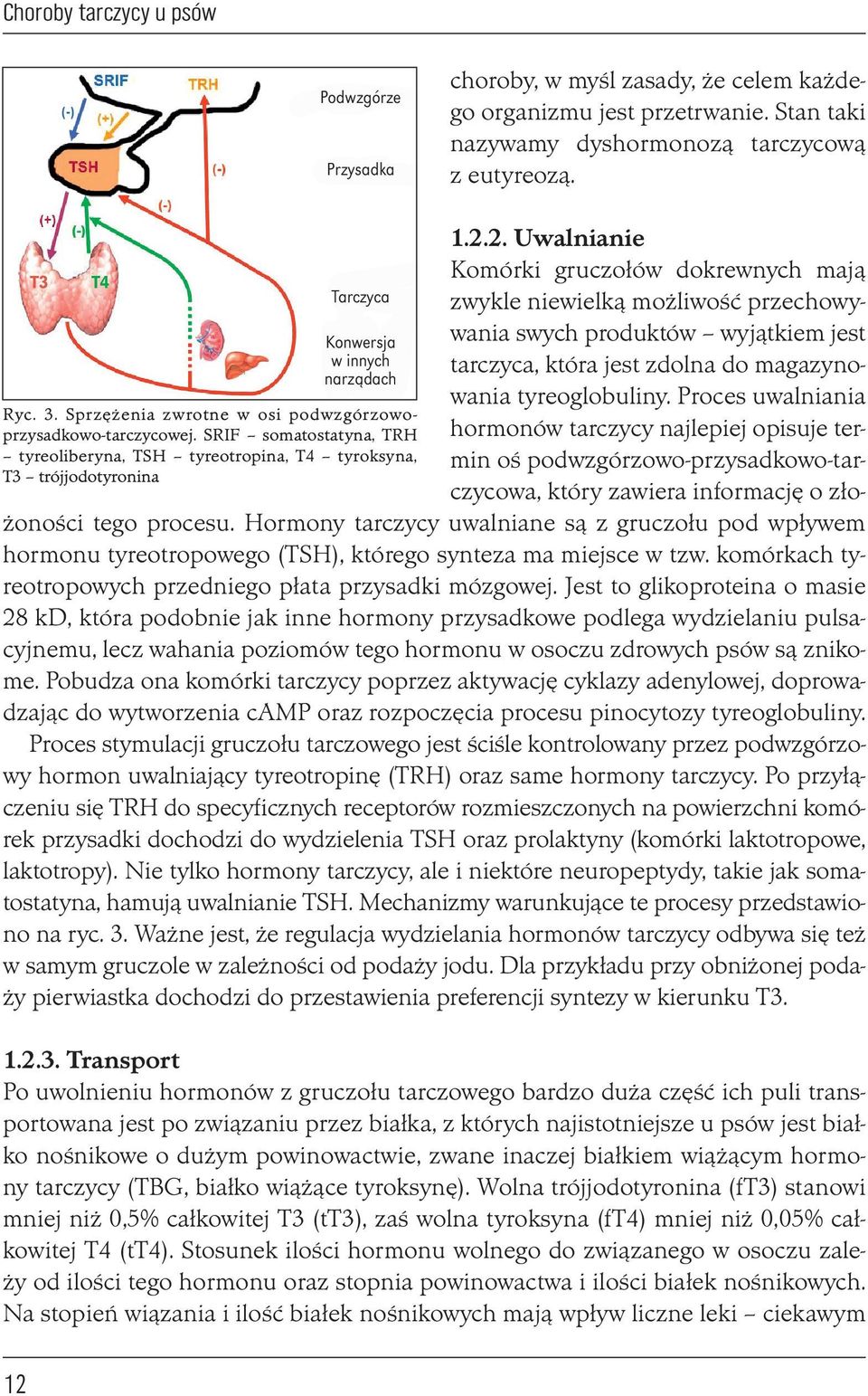 SRIF somatostatyna, TRH tyreoliberyna, TSH tyreotropina, T4 tyroksyna, T3 trójjodotyronina 1.2.