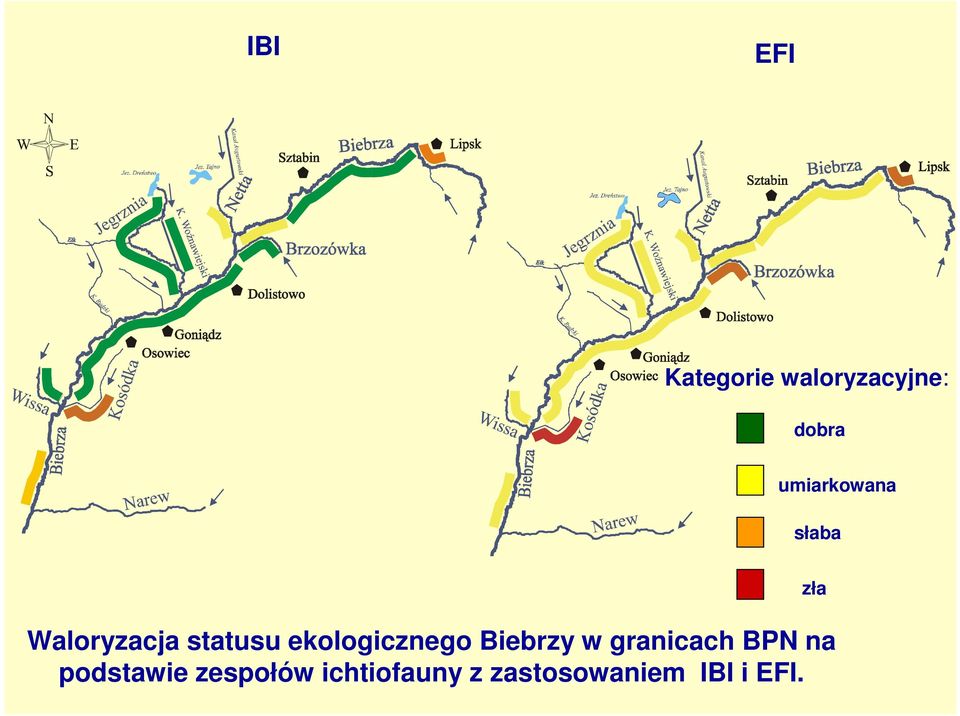 ekologicznego iebrzy w granicach PN na