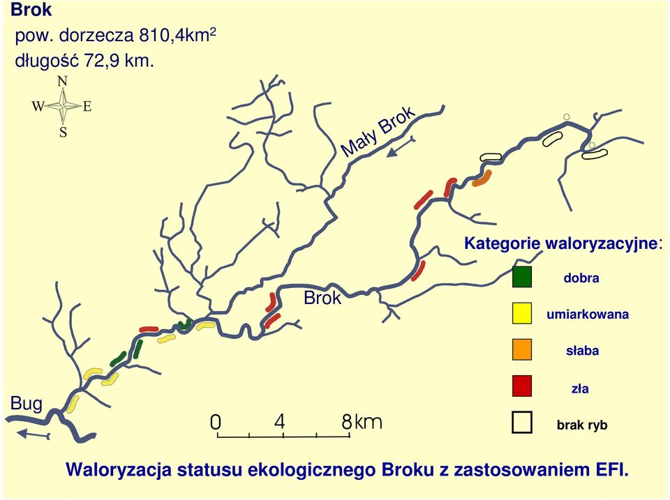 umiarkowana słaba ug 0 4 8km zła brak ryb