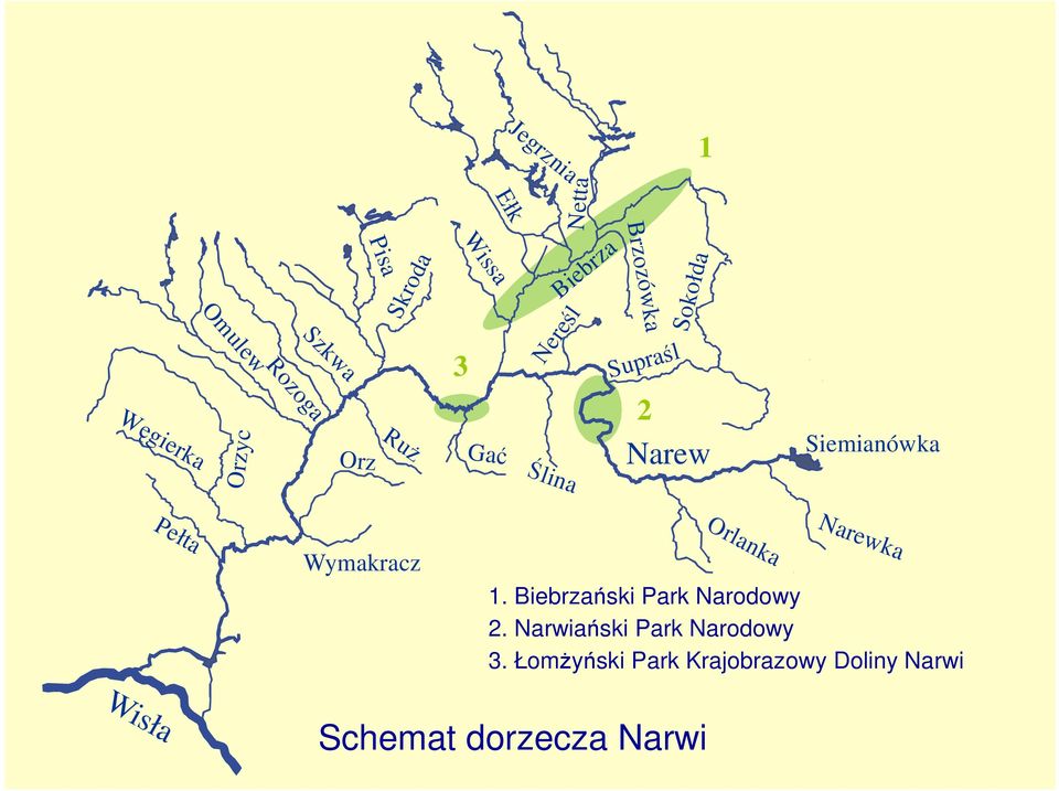 Orlanka Wymakracz 3 2 Narew 1. iebrzański Park Narodowy 2.