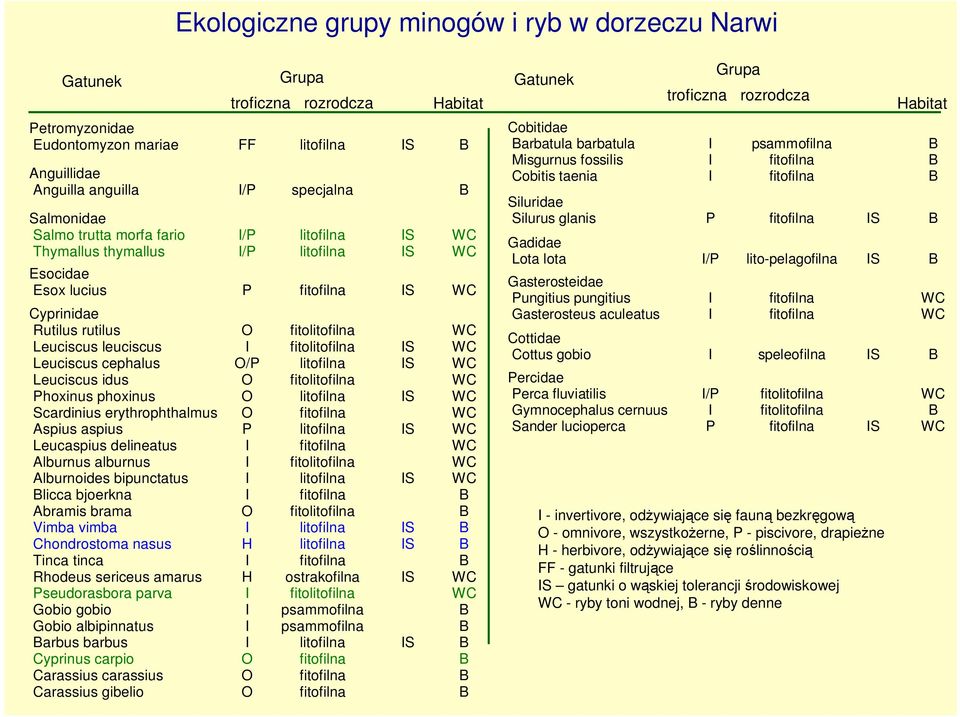 bjoerkna Abramis brama Vimba vimba Chondrostoma nasus Tinca tinca Rhodeus sericeus amarus Pseudorasbora parva Gobio gobio Gobio albipinnatus arbus barbus Cyprinus carpio Carassius carassius Carassius