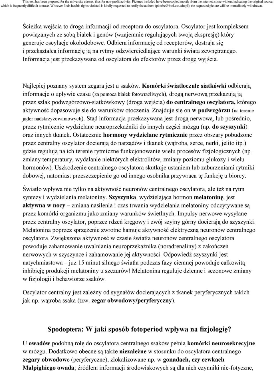 Odbiera informację od receptorów, dostraja się i przekształca informację ją na rytmy odzwierciedlające warunki świata zewnętrznego.