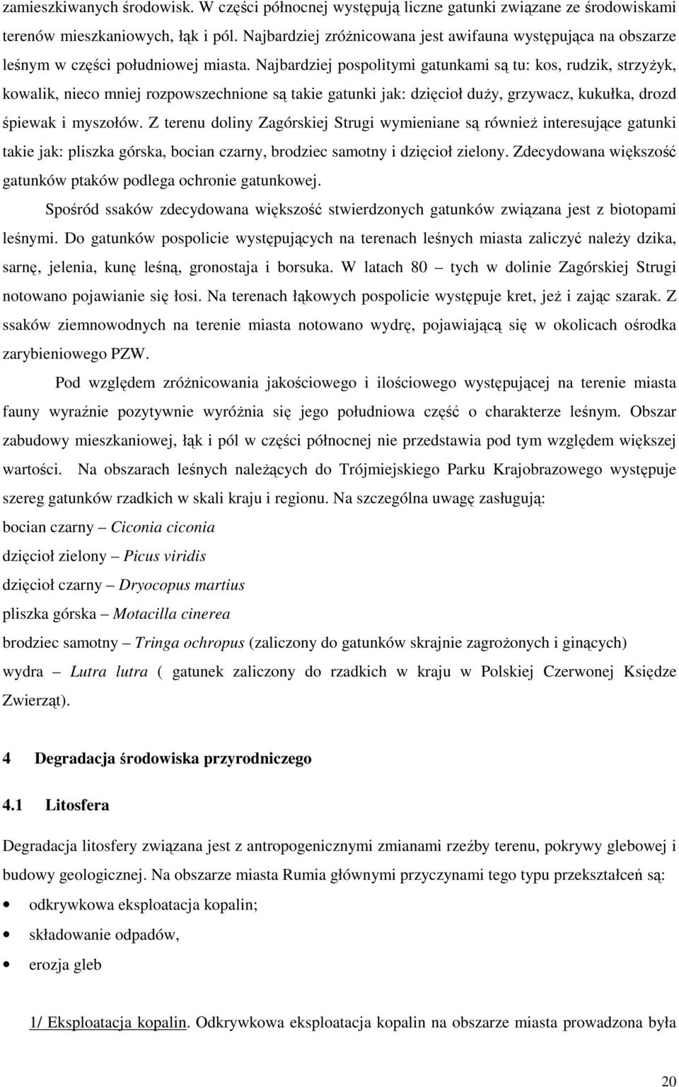 Najbardziej pospolitymi gatunkami są tu: kos, rudzik, strzyżyk, kowalik, nieco mniej rozpowszechnione są takie gatunki jak: dzięcioł duży, grzywacz, kukułka, drozd śpiewak i myszołów.