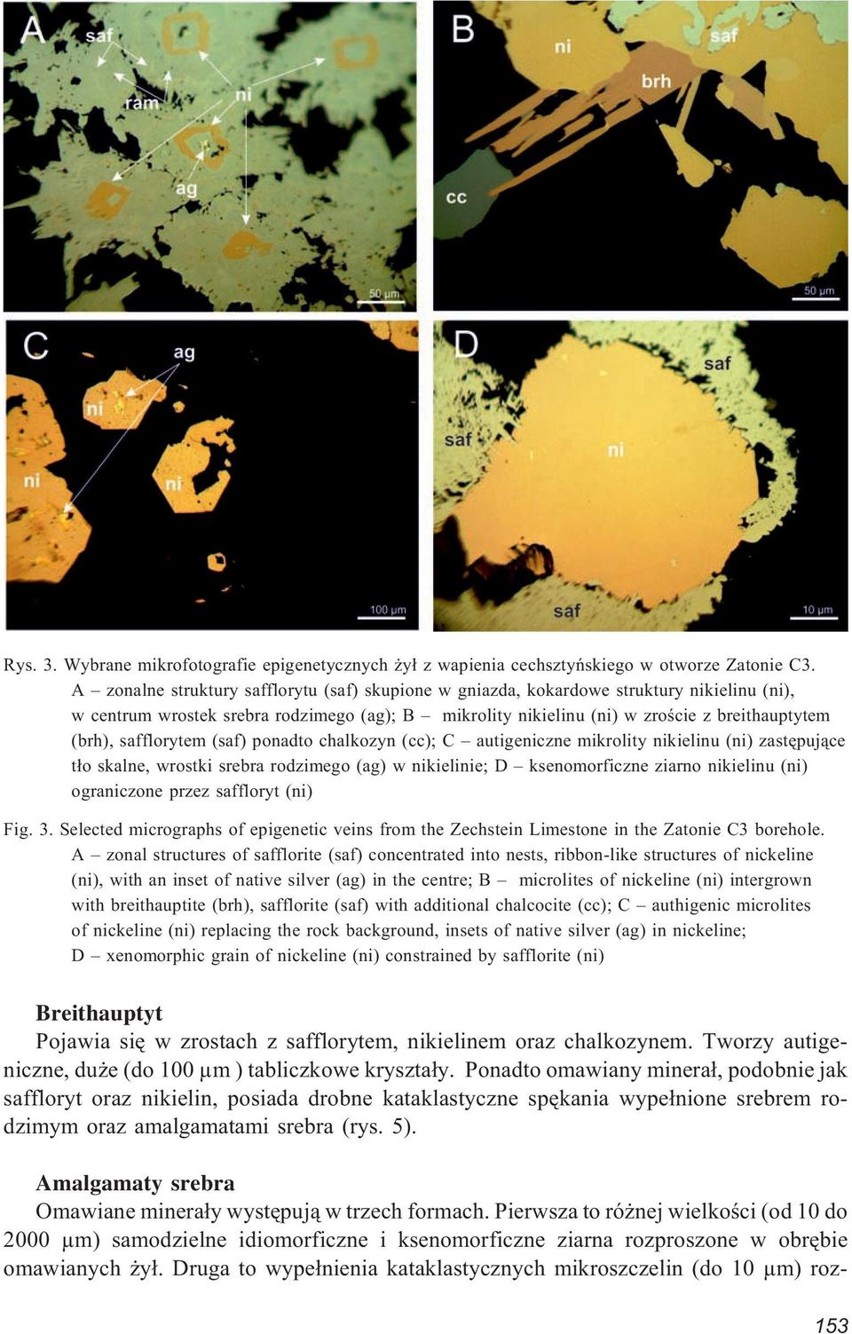 safflorytem (saf) ponadto chalkozyn (cc); C autigeniczne mikrolity nikielinu (ni) zastêpuj¹ce t³o skalne, wrostki srebra rodzimego (ag) w nikielinie; D ksenomorficzne ziarno nikielinu (ni)