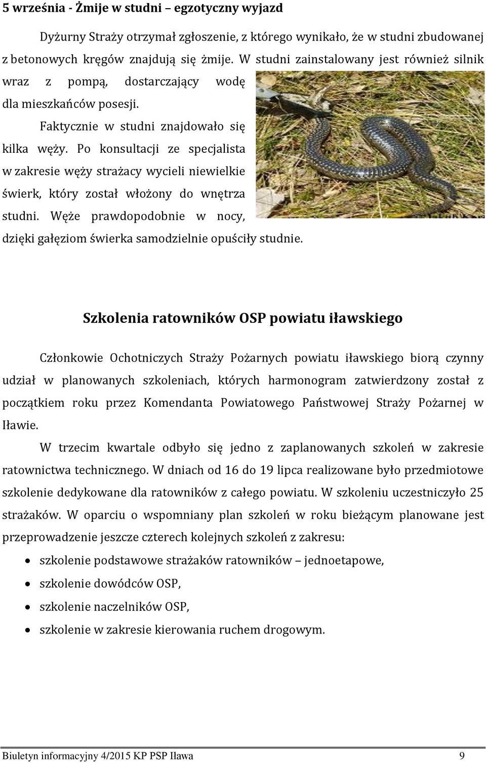 Po konsultacji ze specjalista w zakresie węży strażacy wycieli niewielkie świerk, który został włożony do wnętrza studni.